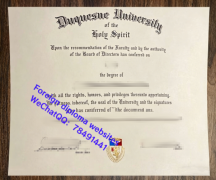<b>Duquesne University </b>