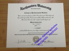 <b>Northeastern Univers</b>