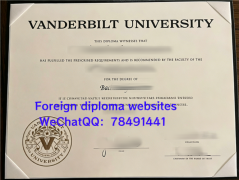 <b>Vanderbilt Universit</b>