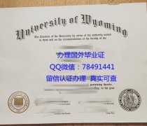 <b>University of Wyomin</b>