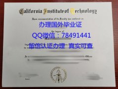 <b>California Institute</b>