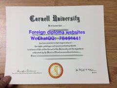 <b>Cornell University D</b>