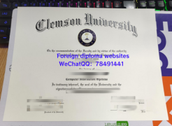 <b>Clemson University D</b>